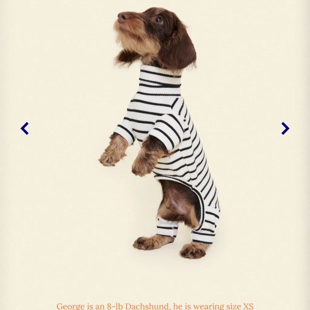 Little Beast Worlds Your Oyster stripped onsie